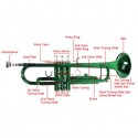 Brass B Flat Trumpet Gloves Set Green